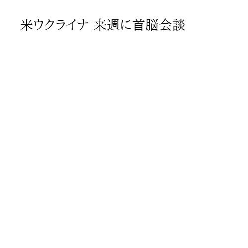 米ウクライナ 来週に首脳会談