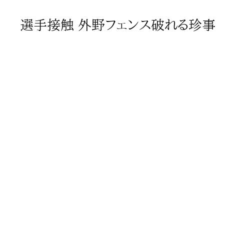 選手接触 外野フェンス破れる珍事