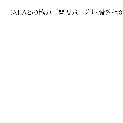 IAEAとの協力再開要求　岩屋毅外相がイラン外相と会談