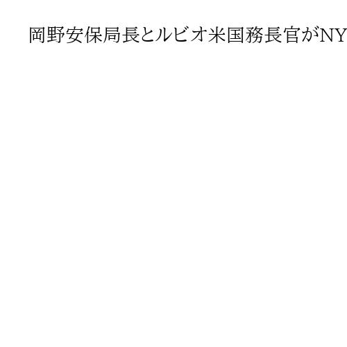 岡野安保局長とルビオ米国務長官がNYで初会談、「自由で開かれたインド太平洋」推進確認