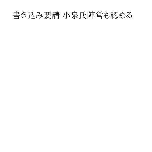 書き込み要請 小泉氏陣営も認める