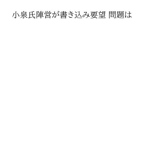 小泉氏陣営が書き込み要望 問題は