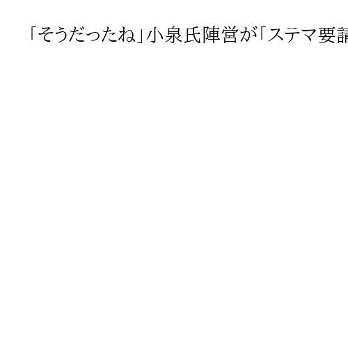「そうだったね」小泉氏陣営が「ステマ要請」認める　選対事務局幹部の小林史明氏説明全文