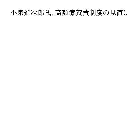 小泉進次郎氏、高額療養費制度の見直しに慎重　社会保険料「現役世代の負担増やさない」