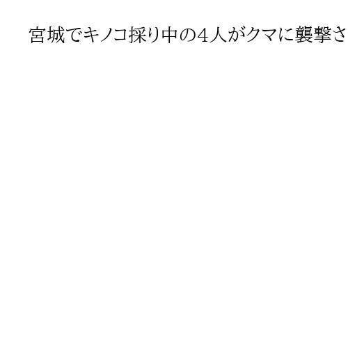 宮城でキノコ採り中の4人がクマに襲撃される、70代女性重体　別々に行動していたか