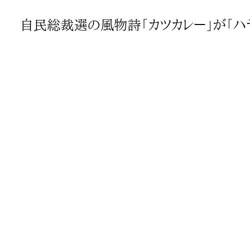 自民総裁選の風物詩「カツカレー」が「ハヤシライス」？　林氏陣営で浮上