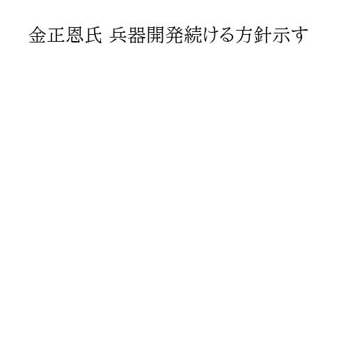 金正恩氏 兵器開発続ける方針示す