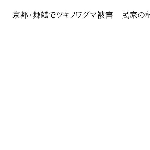 京都・舞鶴でツキノワグマ被害　民家の柿の木から降りて男性引っかき逃げる