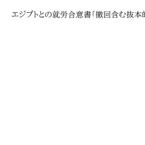 エジプトとの就労合意書「撤回含む抜本的見直しを」　東京都議会で上田令子氏が強く要求