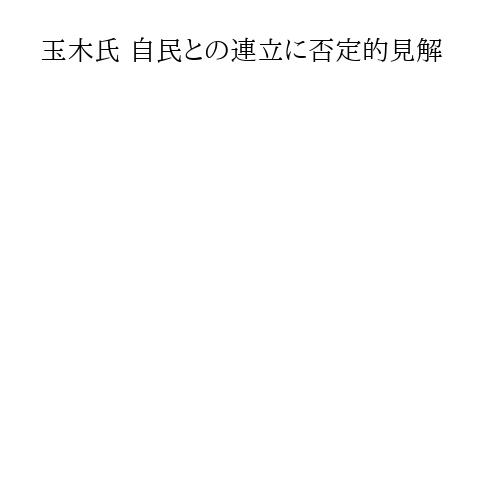 玉木氏 自民との連立に否定的見解