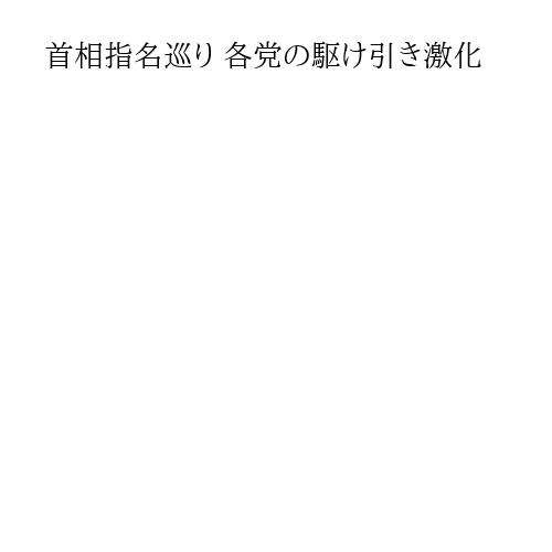 首相指名巡り 各党の駆け引き激化