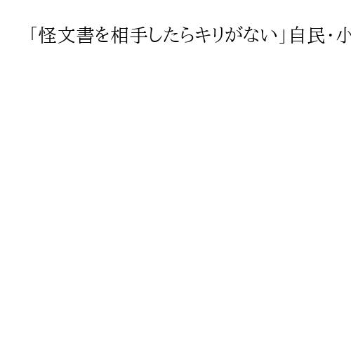 「怪文書を相手したらキリがない」自民・小野田紀美氏　首相指名「造反26人」情報に苦言