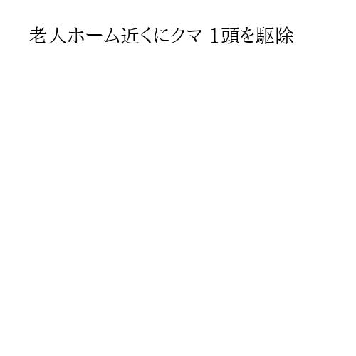 老人ホーム近くにクマ 1頭を駆除