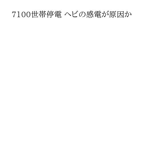 7100世帯停電 ヘビの感電が原因か