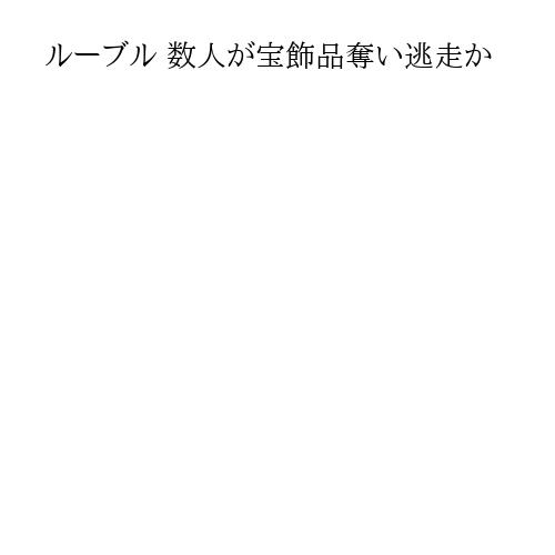 ルーブル 数人が宝飾品奪い逃走か