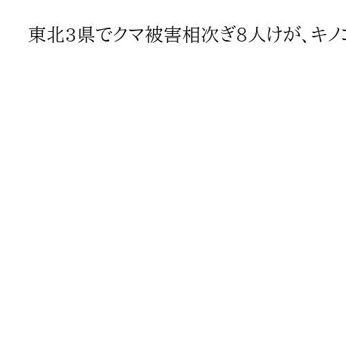 東北3県でクマ被害相次ぎ9人けが、キノコ採りや散歩中　秋田県湯沢市では住宅に入り込む