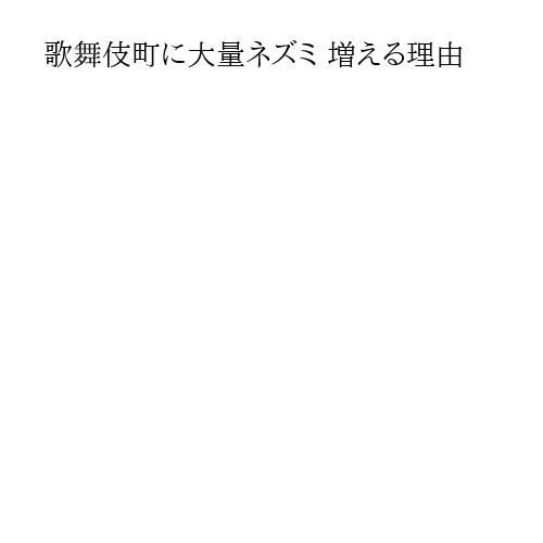 歌舞伎町に大量ネズミ 増える理由