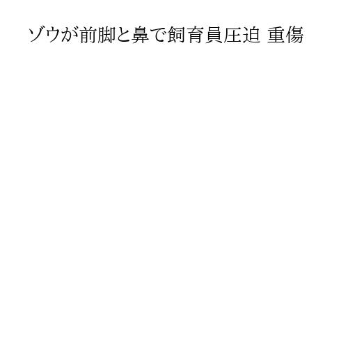 ゾウが前脚と鼻で飼育員圧迫 重傷