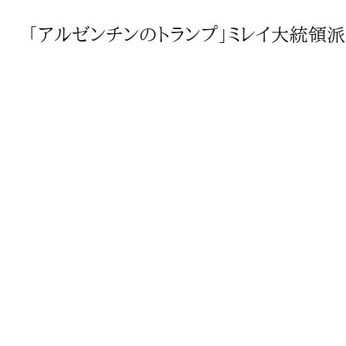 「アルゼンチンのトランプ」ミレイ大統領派が中間選挙で「勝利」、大幅議席増