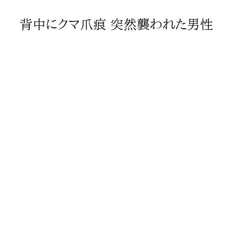 背中にクマ爪痕 突然襲われた男性