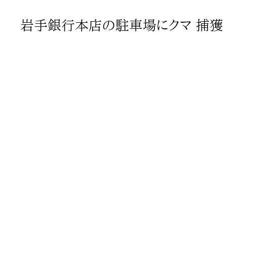 岩手銀行本店の駐車場にクマ 捕獲