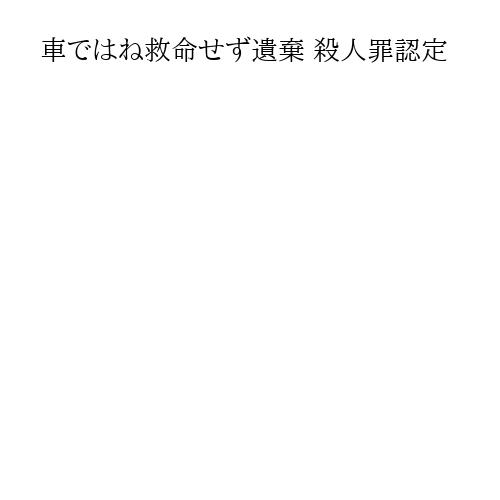 車ではね救命せず遺棄 殺人罪認定
