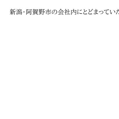 新潟・阿賀野市の会社内にとどまっていたクマ、全国初の麻酔銃による緊急銃猟で捕獲