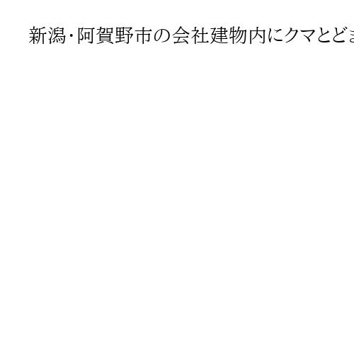 新潟・阿賀野市の会社建物内にクマとどまる　社員5人は全員避難、けが人なし