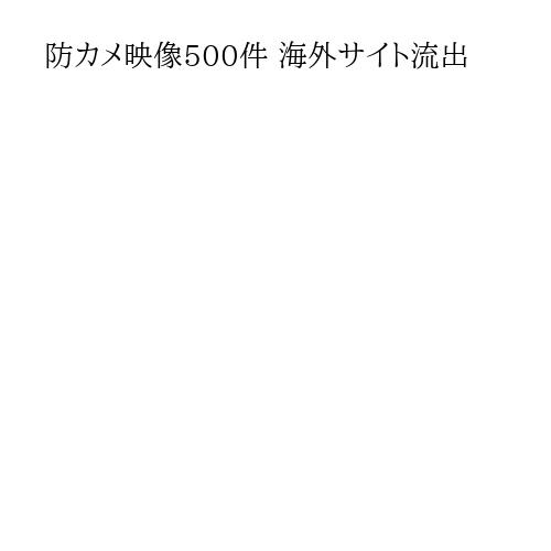 防カメ映像500件 海外サイト流出