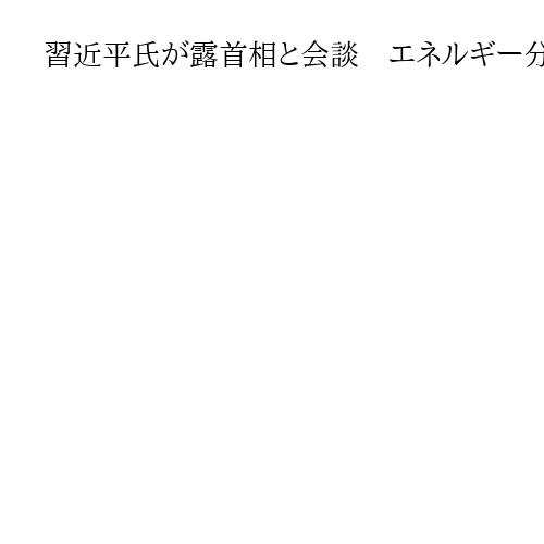 習近平氏が露首相と会談　エネルギー分野の協力推進で一致　「中露関係発展は戦略的選択」