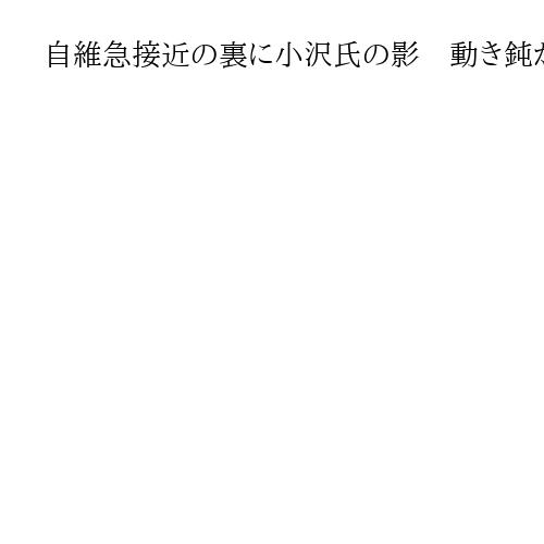 自維急接近の裏に小沢氏の影　動き鈍かった国民民主