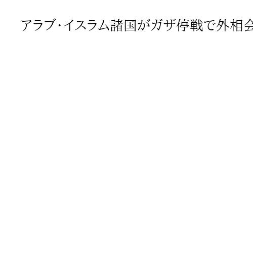 アラブ・イスラム諸国がガザ停戦で外相会談　トルコ外相がイスラエルの「合意違反」批判