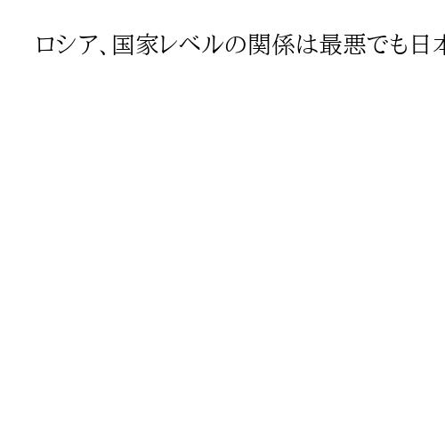ロシア、国家レベルの関係は最悪でも日本文化が人気　相次いだイベントで対日観を聞いた