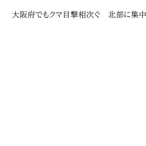 大阪府でもクマ目撃相次ぐ　北部に集中　吉村知事「秋以降は一層の注意を」