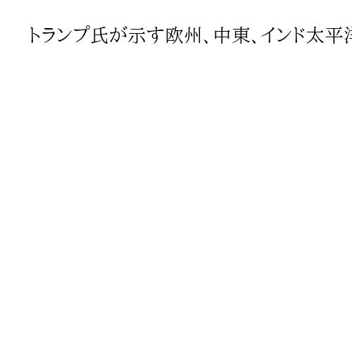 トランプ氏が示す欧州、中東、インド太平洋の違い　メディアは全体の流れ伝えず　宮家邦彦