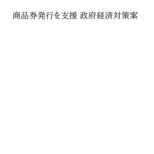 商品券発行を支援 政府経済対策案