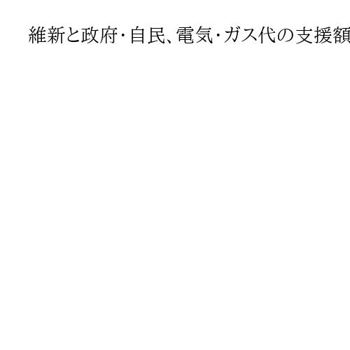 維新と政府・自民、電気・ガス代の支援額巡り綱引き　高市首相も「深掘りする」