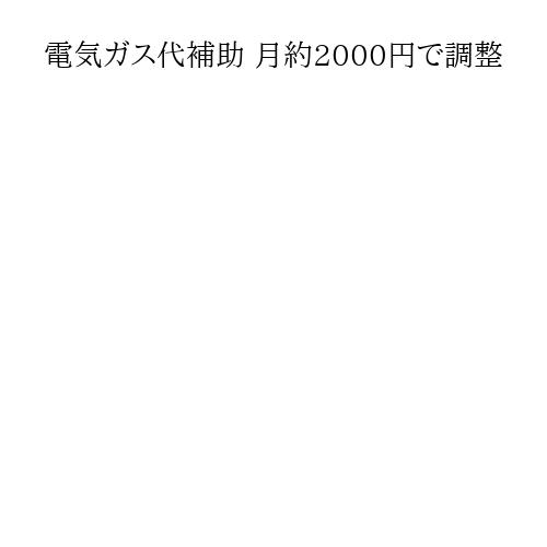電気ガス代補助 月約2000円で調整