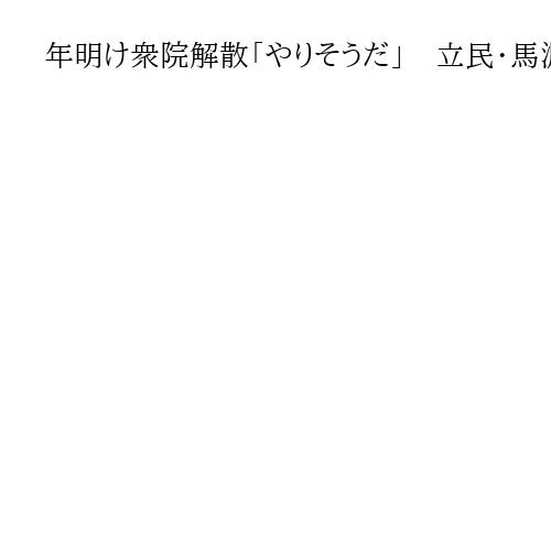 年明け衆院解散「やりそうだ」　立民・馬淵澄夫代表代行が言及　定数削減は「乱暴」と批判