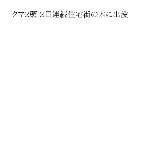 クマ2頭 2日連続住宅街の木に出没
