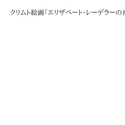 クリムト絵画「エリザベート・レーデラーの肖像」に367億円　米競売、落札額過去2番目