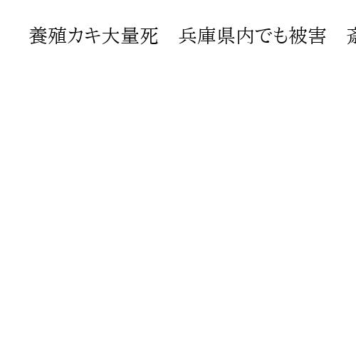 養殖カキ大量死　兵庫県内でも被害　斎藤知事、事業者へ支援検討　播磨灘で8割死滅