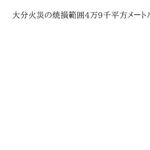 大分火災の焼損範囲4万9千平方メートル、東京ドームの面積超える　輪島朝市火災と同規模