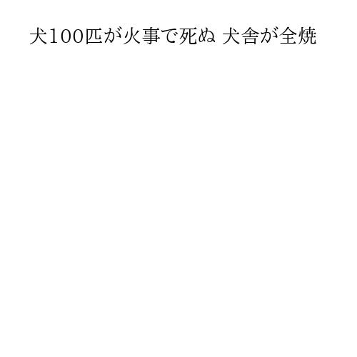 犬100匹が火事で死ぬ 犬舎が全焼