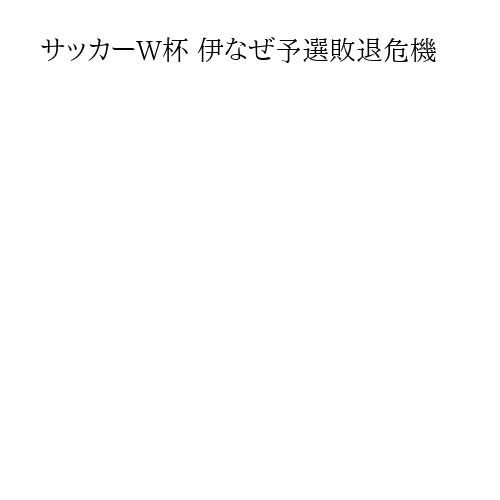サッカーW杯 伊なぜ予選敗退危機