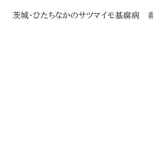 茨城・ひたちなかのサツマイモ基腐病　県の土壌消毒「89％完了」　26ヘクタールが対象
