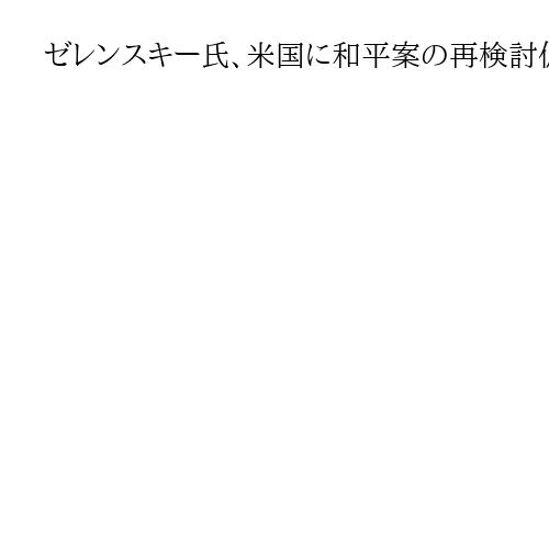 ゼレンスキー氏、米国に和平案の再検討促す考え示唆　来週にもトランプ氏と電話会談か