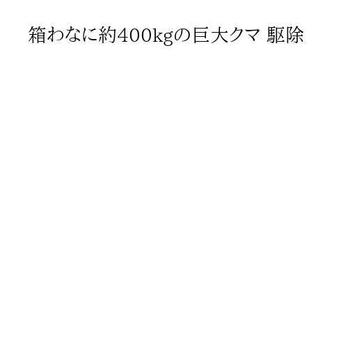 箱わなに約400kgの巨大クマ 駆除