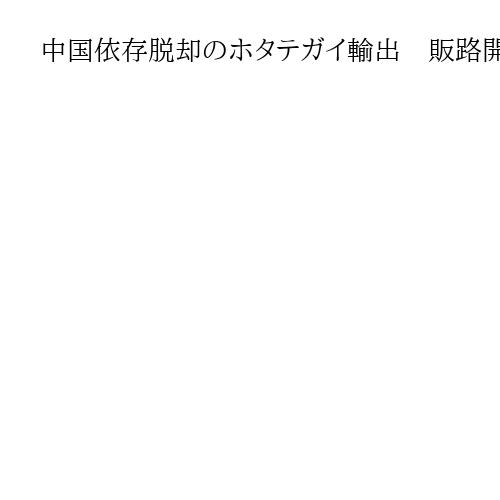 中国依存脱却のホタテガイ輸出　販路開拓、業者「影響はない」　600億円台で安定化