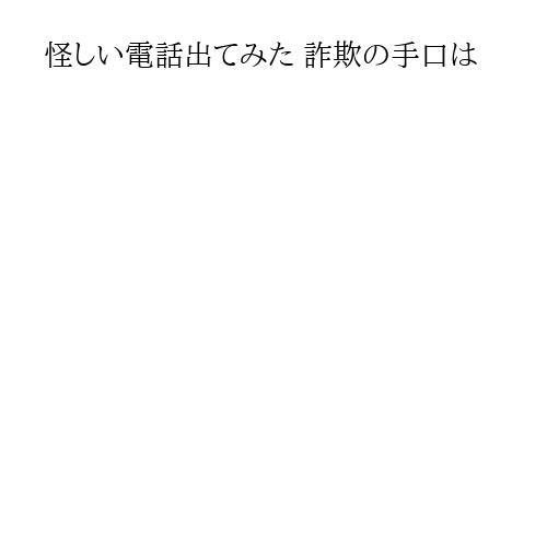 怪しい電話出てみた 詐欺の手口は